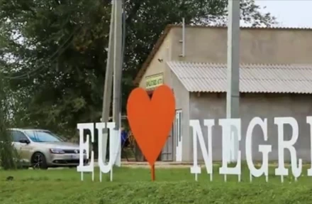 Crucea albă - image 36