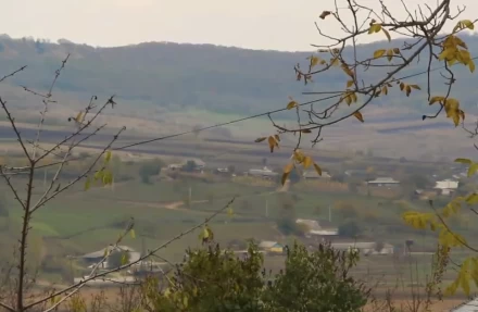 Crucea albă - image 11