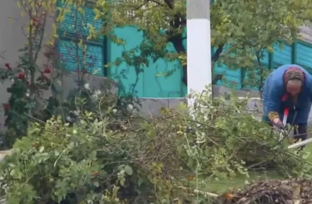 Crucea albă - image 8