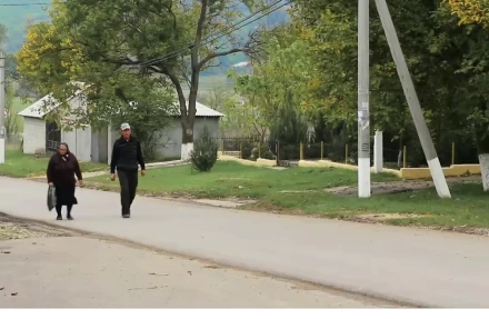 Crucea albă - image 7