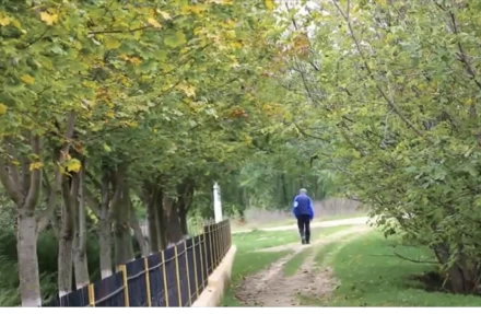 Crucea albă - image 3