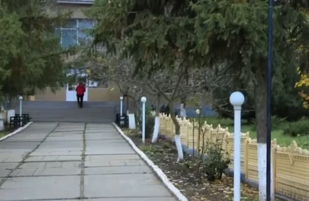 Crucea albă - image 25