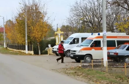 Crucea albă - image 40