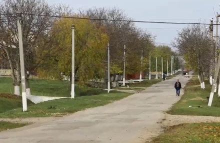 Crucea albă - image 17