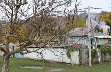 Crucea albă - image 48