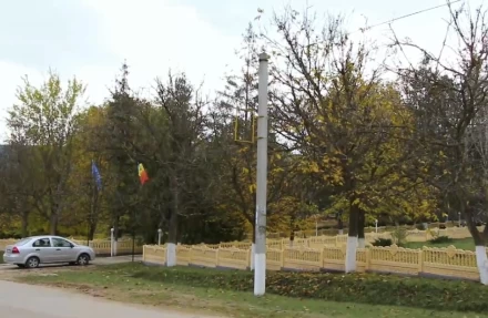 Crucea albă - image 23