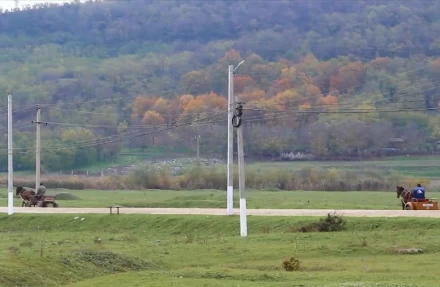 Crucea albă - image 22